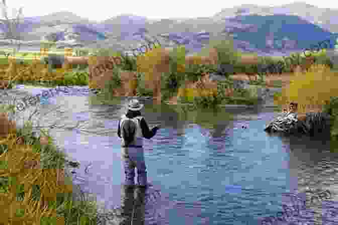 A Fisherman Hiking Along A Scenic Riverbank In Montana Montana S Best Fishing Waters: 170 Detailed Maps Of 34 Of The Best Rivers Streams And Lakes