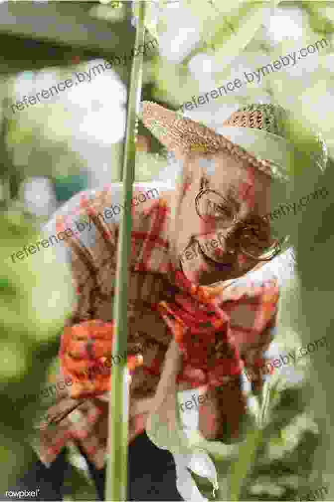 A Grandmother Tending To Her Garden With Vigor Don T Sing At The Table: Life Lessons From My Grandmothers