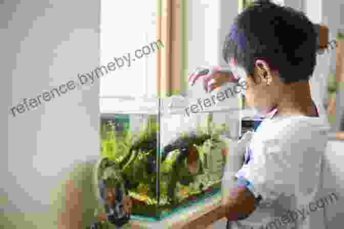 A Person Feeding Fish In A Saltwater Aquarium The New Saltwater Aquarium Guide: How To Care For And Keep Marine Fish And Corals (Reef Aquarium 1)