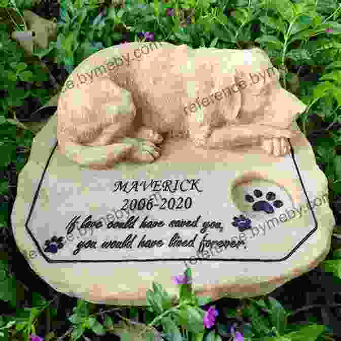 A Plaque Marks Beagle's Grave, Honoring His Legacy Of Courage And Love A Dog Called Perth: The True Story Of A Beagle