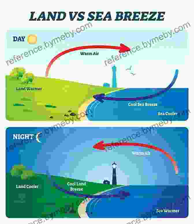 A Serene Coastal Landscape, Showcasing The Influence Of Seabreezes On Vegetation, Wildlife, And Human Activities. The Seabreeze Handbook: The Marvel Of Seabreezes And How To Use Them To Your Advantage