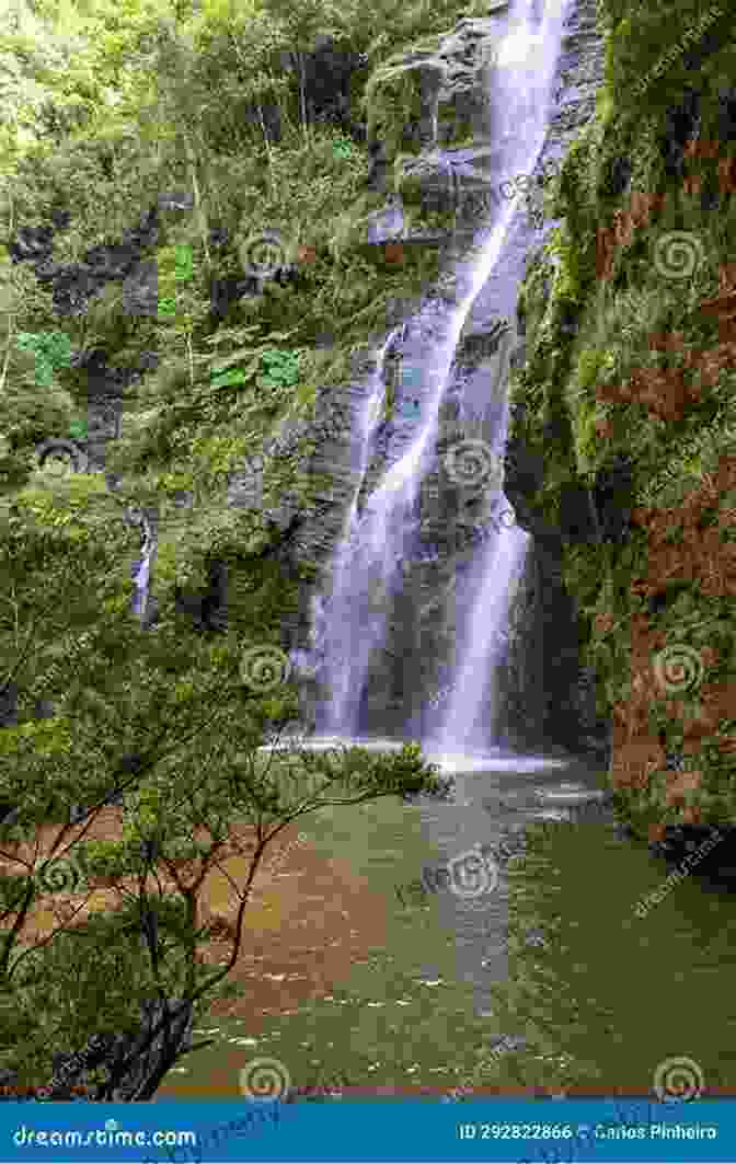 A Serene Waterfall In The Lush Landscapes Of Minas Gerais Rio De Janeiro Minas Gerais (Footprint Handbooks)