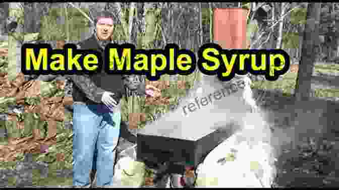 A Wooden Stick Being Dipped Into A Pot Of Boiling Maple Syrup, Making Maple Taffy EAT LIKE A LOCAL CANADA: Canada Food Guide