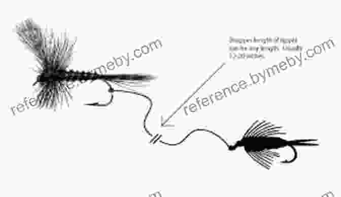 Aggressive Strategies For Casting, Rigging, And Moving The Nymph: A Comprehensive Guide For Fly Fishers Active Nymphing: Aggressive Strategies For Casting Rigging And Moving The Nymph