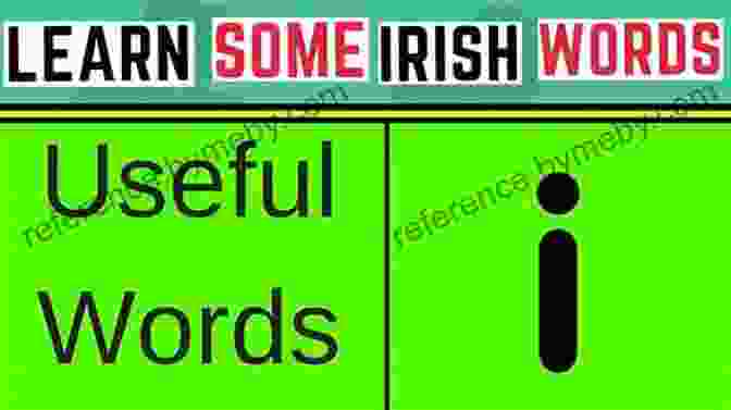 An Open Copy Of 'Know The Irish Through Our Words' Resting On A Wooden Table The Little Of Irishisms: Know The Irish Through Our Words