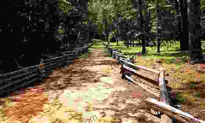 Couple Exploring A Historical Site In The Lowcountry Fodor S InFocus Charleston: With Hilton Head And The Lowcountry (Full Color Travel Guide)