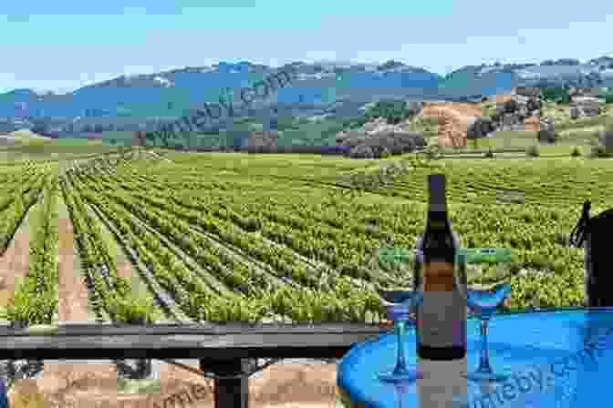 Elegant Winery In Sonoma Valley, With A Sprawling Terrace Overlooking Vineyards Fodor S Napa Sonoma (Full Color Travel Guide)