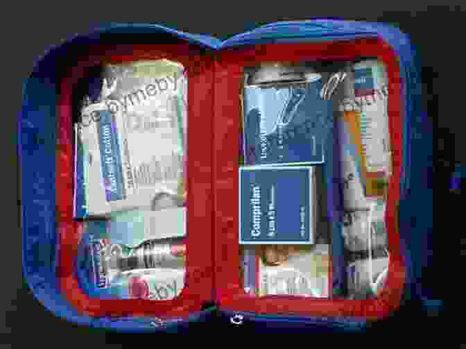 First Aid Kit With Essential Supplies Medicine For The Outdoors E Book: The Essential Guide To First Aid And Medical Emergencies