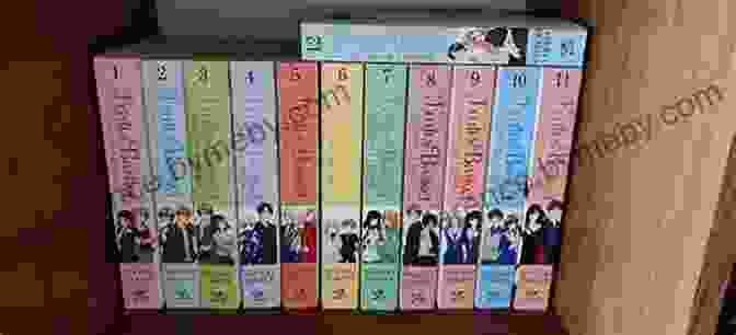 Fruits Basket Collector's Edition Volumes Arranged On A Shelf Fruits Basket Collector S Edition Vol 6 (Fruits Basket Collectors Ed)