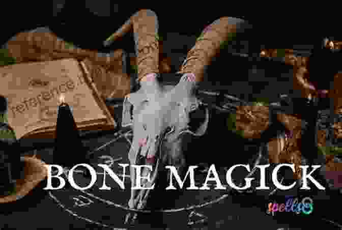 Intricate Magical System The Shadowglass (The Bone Witch 3)