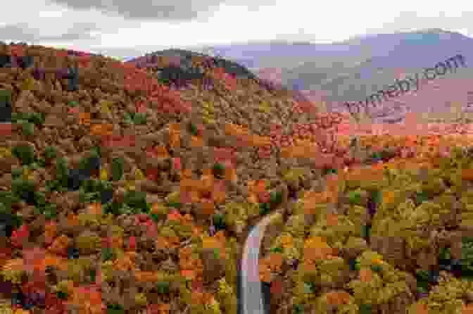 Majestic Mountains In Vermont Vermont (StateBasics) Holly Saari