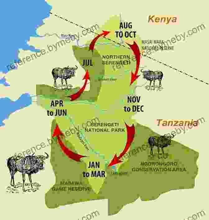 Masai Mara National Reserve Map Fodor S The Complete Guide To African Safaris: With South Africa Kenya Tanzania Botswana Namibia Rwanda (Full Color Travel Guide 5)