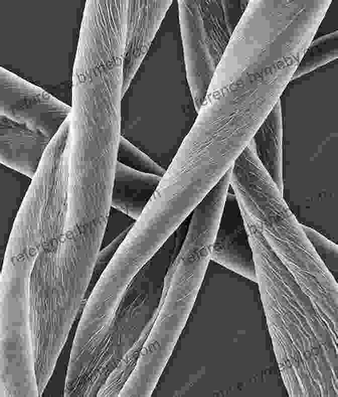 Microscopic View Of Fabric Fibers Engineering Apparel Fabrics And Garments (Woodhead Publishing In Textiles)