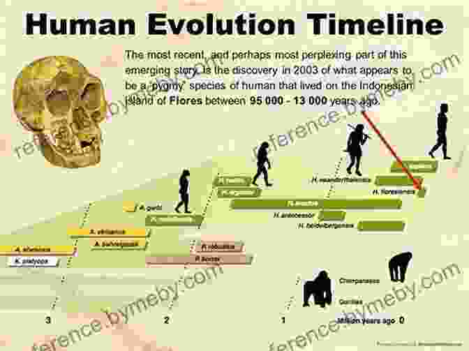 Timeline Depicting The Evolutionary Milestones Of Human History From Early Hominids To Modern Humans A Brief History Of Everyone Who Ever Lived: The Human Story Retold Through Our Genes