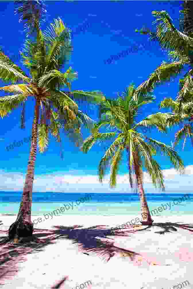 White Sand Beach With Turquoise Waters And Palm Trees Bahamas Travel Guide: With 100 Landscape Photos