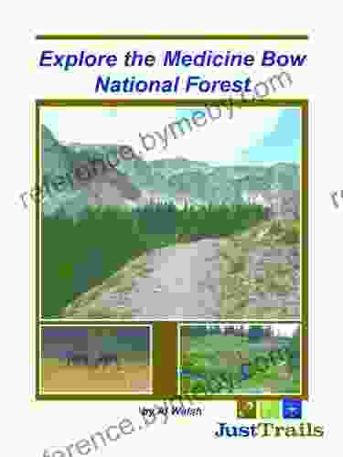 Explore The Medicine Bow National Forest