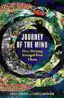 Journey Of The Mind: How Thinking Emerged From Chaos