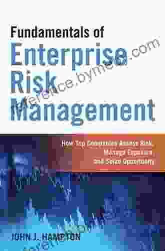 Fundamentals Of Enterprise Risk Management: How Top Companies Assess Risk Manage Exposure And Seize Opportunity